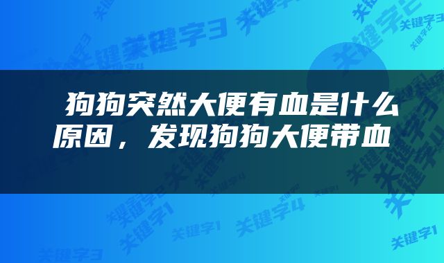  狗狗突然大便有血是什么原因，发现狗狗大便带血 