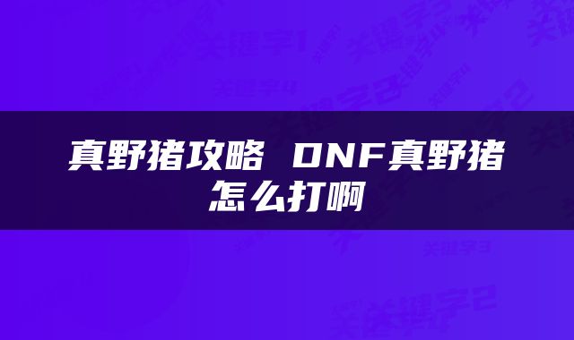 真野猪攻略 DNF真野猪怎么打啊