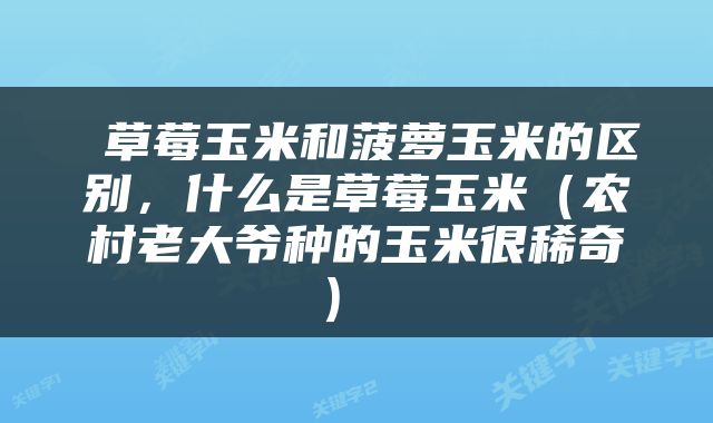  草莓玉米和菠萝玉米的区别，什么是草莓玉米（农村老大爷种的玉米很稀奇） 