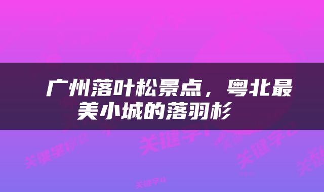  广州落叶松景点，粤北最美小城的落羽杉 