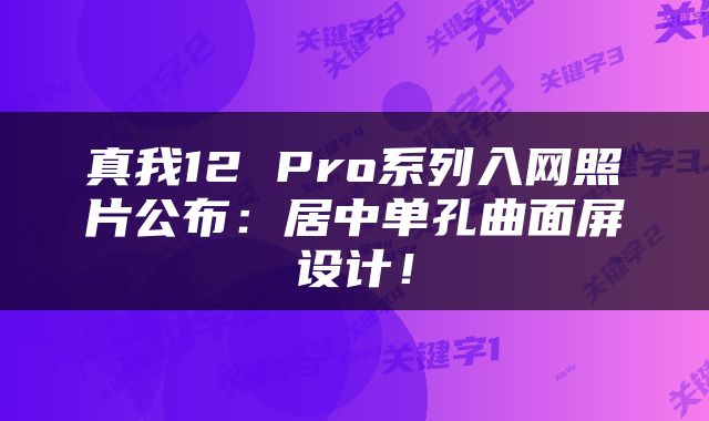 真我12 Pro系列入网照片公布：居中单孔曲面屏设计！