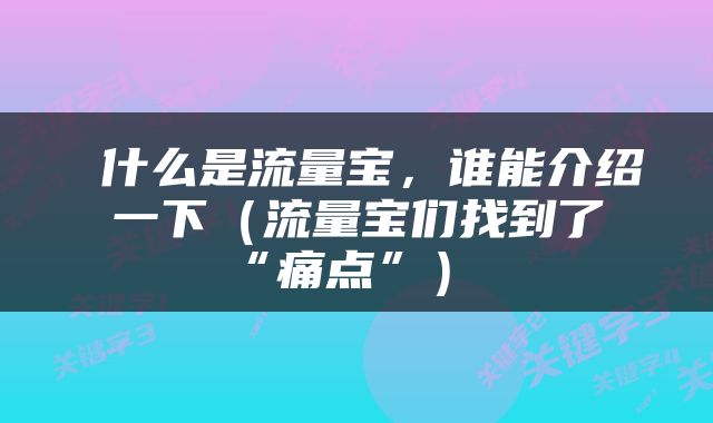  什么是流量宝，谁能介绍一下（流量宝们找到了“痛点”） 