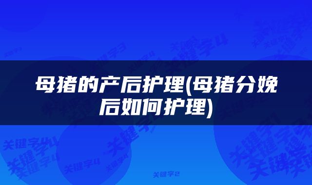 母猪的产后护理(母猪分娩后如何护理)