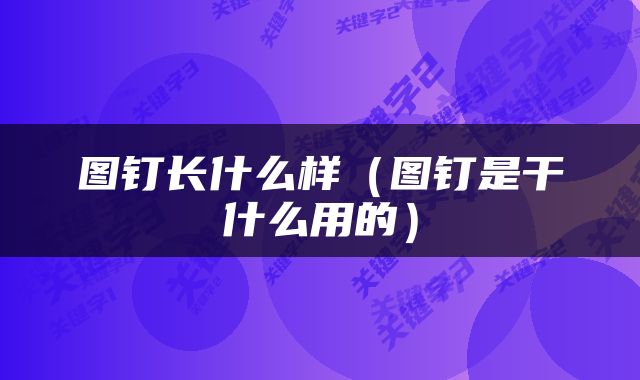 图钉长什么样（图钉是干什么用的）