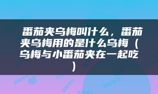  番茄夹乌梅叫什么，番茄夹乌梅用的是什么乌梅（乌梅与小番茄夹在一起吃） 