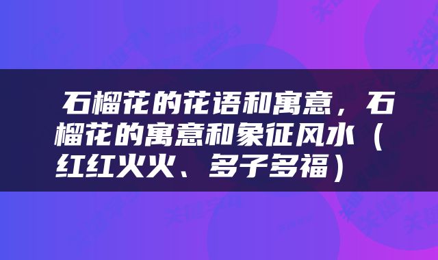  石榴花的花语和寓意，石榴花的寓意和象征风水（红红火火、多子多福） 