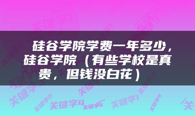  硅谷学院学费一年多少，硅谷学院（有些学校是真贵，但钱没白花） 