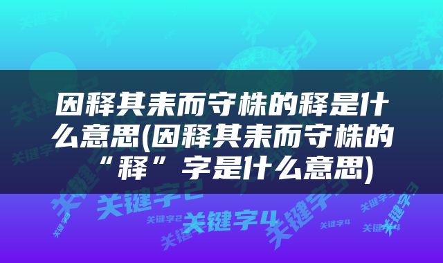 因释其耒而守株的释是什么意思(因释其耒而守株的“释”字是什么意思)