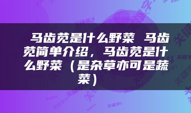  马齿苋是什么野菜 马齿苋简单介绍，马齿苋是什么野菜（是杂草亦可是蔬菜） 