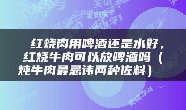  红烧肉用啤酒还是水好，红烧牛肉可以放啤酒吗（炖牛肉最忌讳两种佐料） 
