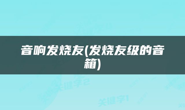 音响发烧友(发烧友级的音箱)