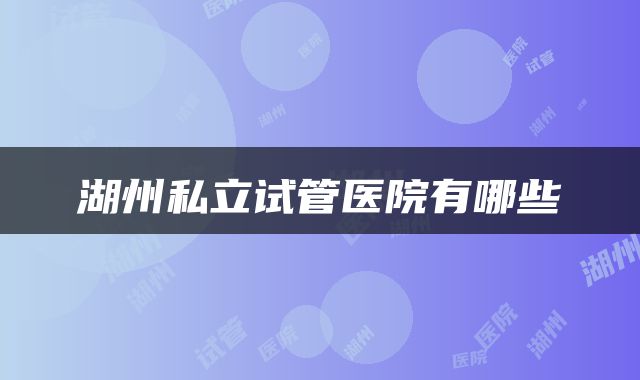 湖州私立试管医院有哪些