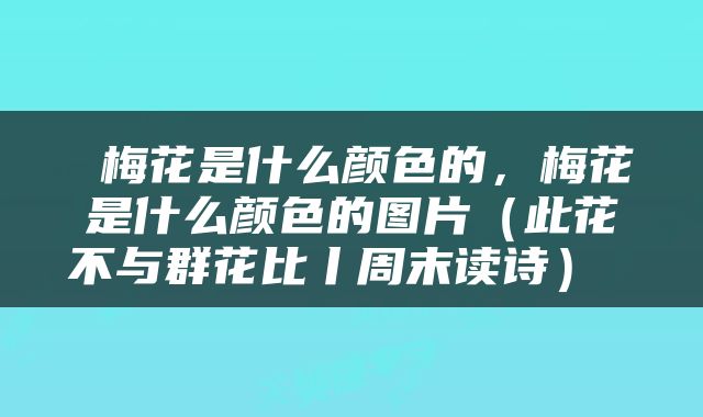  梅花是什么颜色的，梅花是什么颜色的图片（此花不与群花比丨周末读诗） 