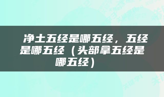  净土五经是哪五经，五经是哪五经（头部拿五经是哪五经） 