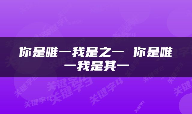 你是唯一我是之一 你是唯一我是其一