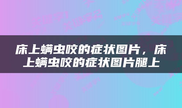 床上螨虫咬的症状图片，床上螨虫咬的症状图片腿上