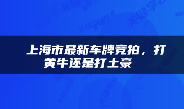  上海市最新车牌竞拍，打黄牛还是打土豪 