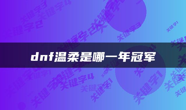 dnf温柔是哪一年冠军