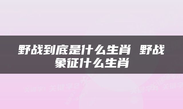 野战到底是什么生肖 野战象征什么生肖