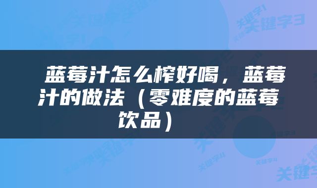  蓝莓汁怎么榨好喝，蓝莓汁的做法（零难度的蓝莓饮品） 
