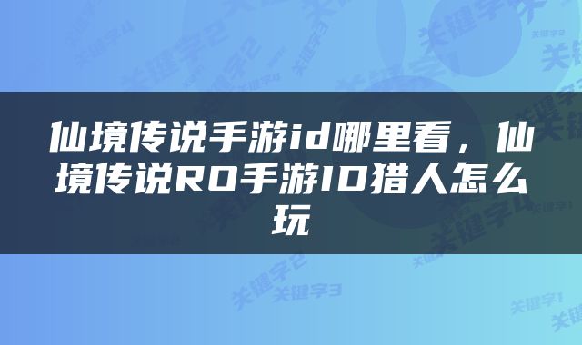 仙境传说手游id哪里看，仙境传说RO手游ID猎人怎么玩