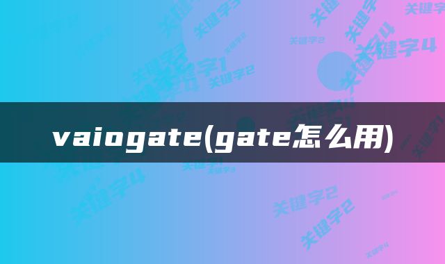 vaiogate(gate怎么用)