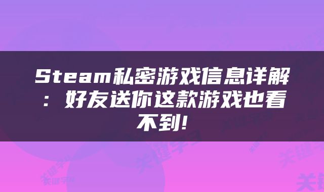 Steam私密游戏信息详解：好友送你这款游戏也看不到!
