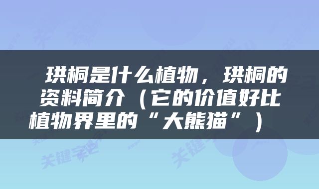  珙桐是什么植物，珙桐的资料简介（它的价值好比植物界里的“大熊猫”） 