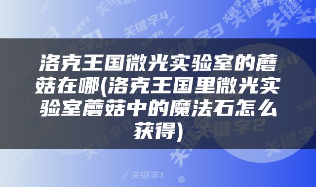 洛克王国微光实验室的蘑菇在哪(洛克王国里微光实验室蘑菇中的魔法石怎么获得)