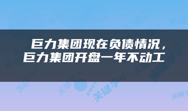  巨力集团现在负债情况，巨力集团开盘一年不动工 