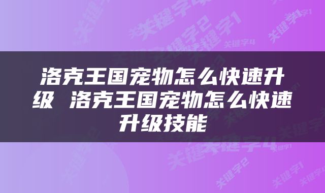 洛克王国宠物怎么快速升级 洛克王国宠物怎么快速升级技能