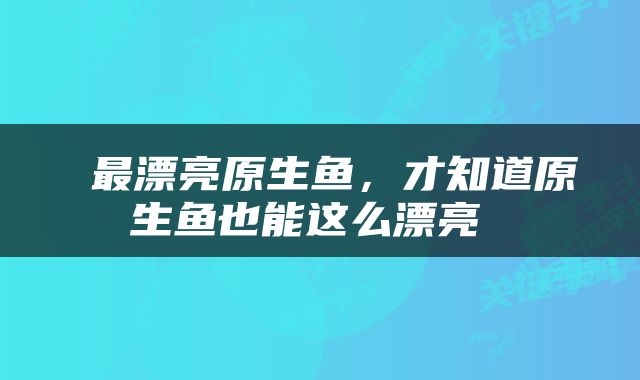  最漂亮原生鱼，才知道原生鱼也能这么漂亮 