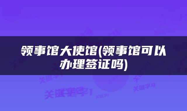 领事馆大使馆(领事馆可以办理签证吗)