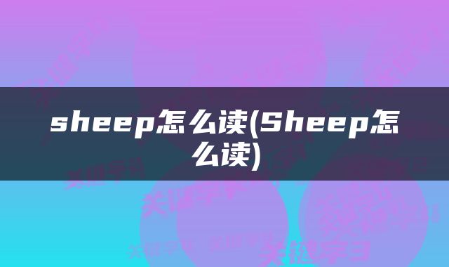 sheep怎么读(Sheep怎么读)