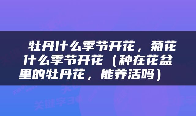  牡丹什么季节开花，菊花什么季节开花（种在花盆里的牡丹花，能养活吗） 