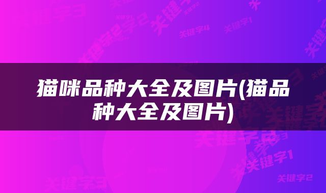 猫咪品种大全及图片(猫品种大全及图片)