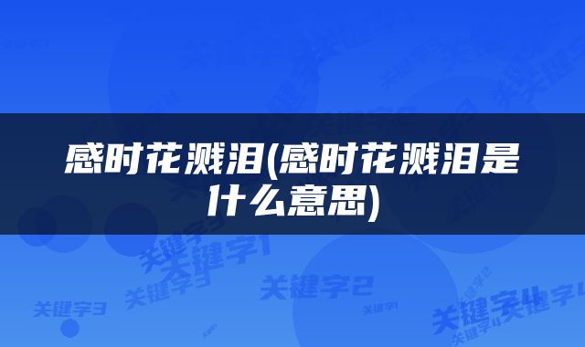 感时花溅泪(感时花溅泪是什么意思)