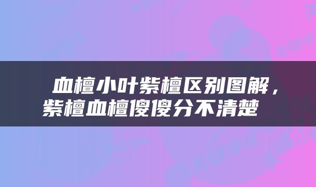  血檀小叶紫檀区别图解，紫檀血檀傻傻分不清楚 