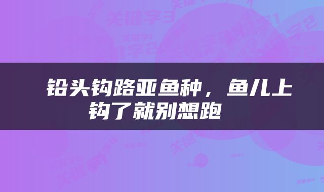  铅头钩路亚鱼种，鱼儿上钩了就别想跑 