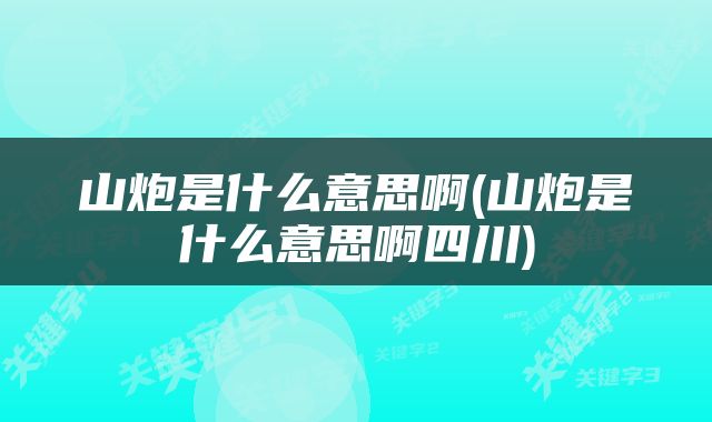 山炮是什么意思啊(山炮是什么意思啊四川)