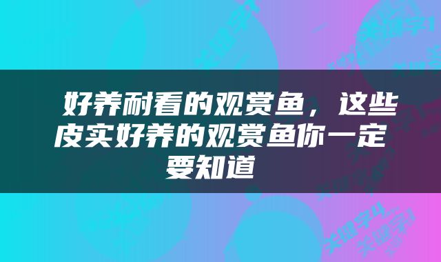  好养耐看的观赏鱼，这些皮实好养的观赏鱼你一定要知道 