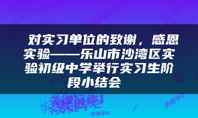  对实习单位的致谢，感恩实验——乐山市沙湾区实验初级中学举行实习生阶段小结会 