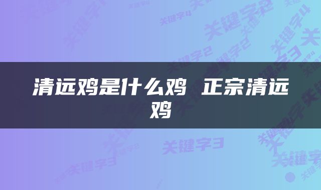 清远鸡是什么鸡 正宗清远鸡