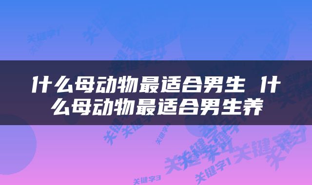 什么母动物最适合男生 什么母动物最适合男生养