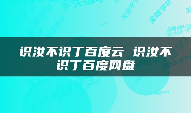 识汝不识丁百度云 识汝不识丁百度网盘