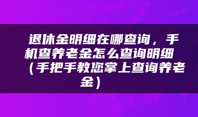  退休金明细在哪查询，手机查养老金怎么查询明细（手把手教您掌上查询养老金） 