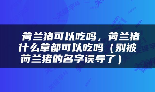  荷兰猪可以吃吗，荷兰猪什么草都可以吃吗（别被荷兰猪的名字误导了） 