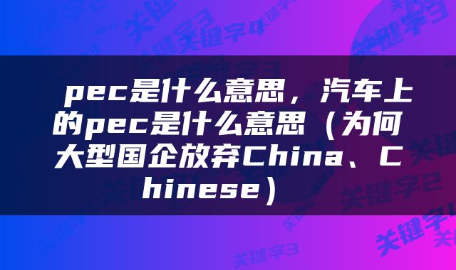  pec是什么意思，汽车上的pec是什么意思（为何大型国企放弃China、Chinese） 