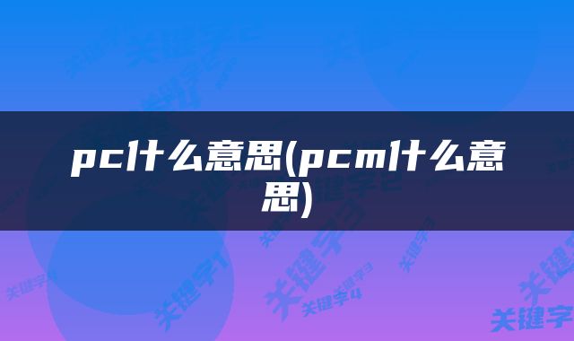 pc什么意思(pcm什么意思)