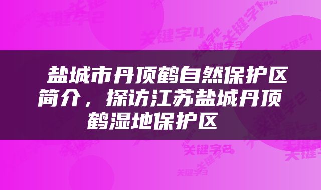  盐城市丹顶鹤自然保护区简介，探访江苏盐城丹顶鹤湿地保护区 